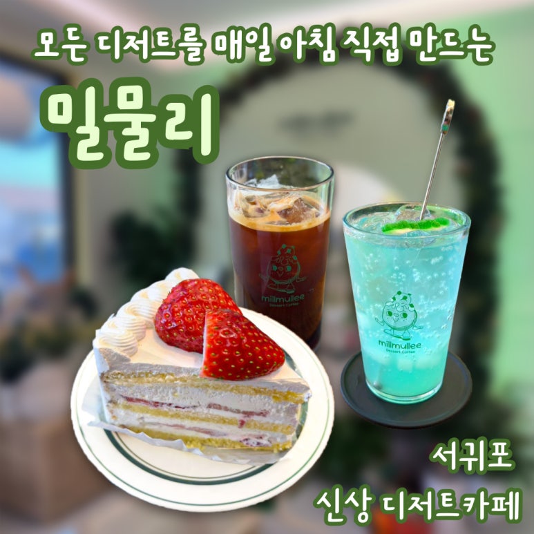 밀물리 이미지