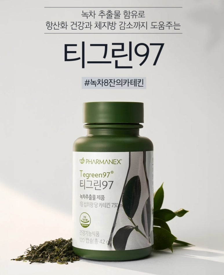 티그린 이미지