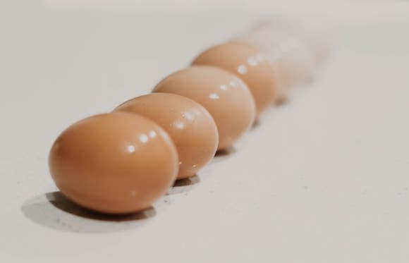 배달의계란 이미지