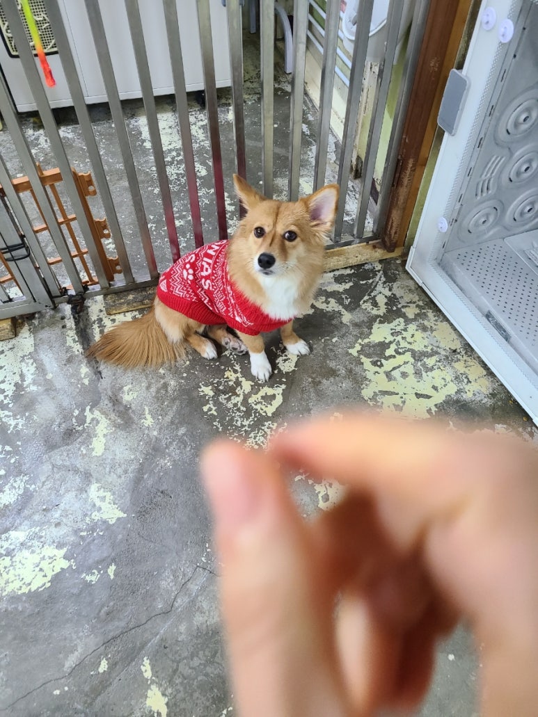 무화과식당 이미지