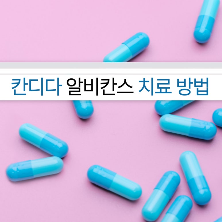 프루플로 이미지