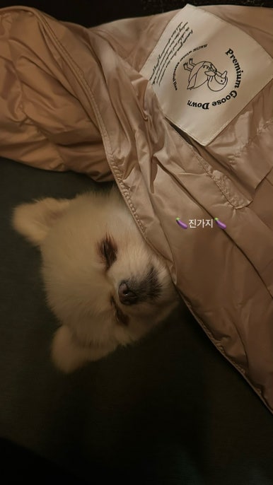 장싸롱 리저브 이미지