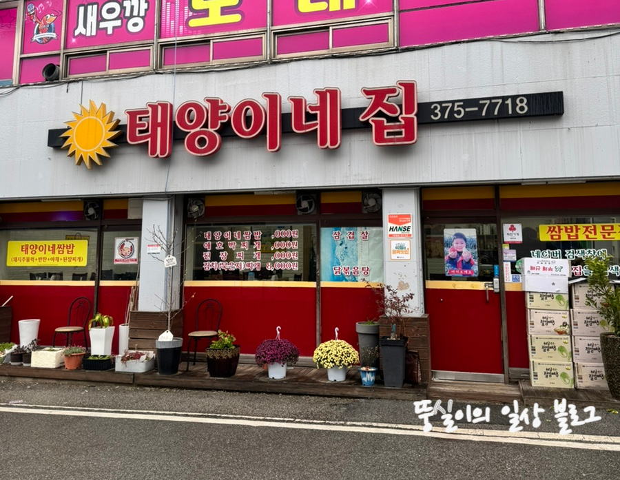 태양이네집 이미지