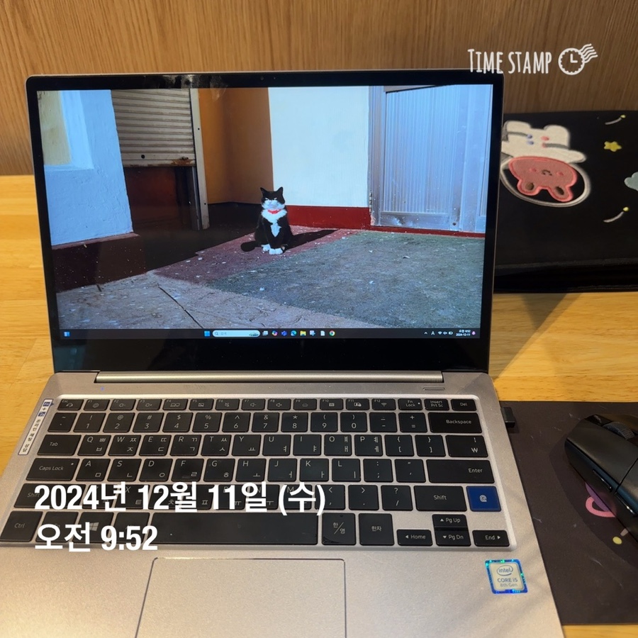 꽃간 이미지