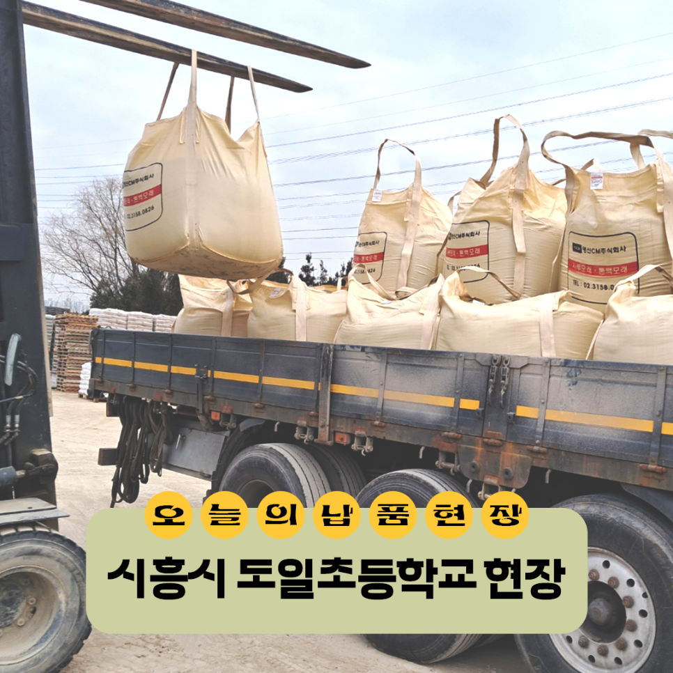도일초등학교 이미지