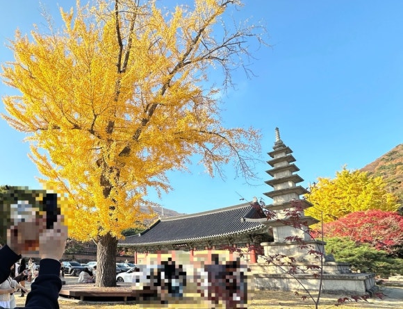 오디오그라피 이미지