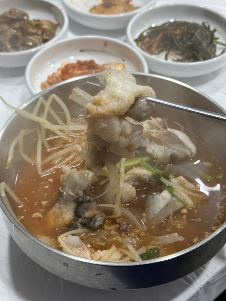 감포일출복어 이미지