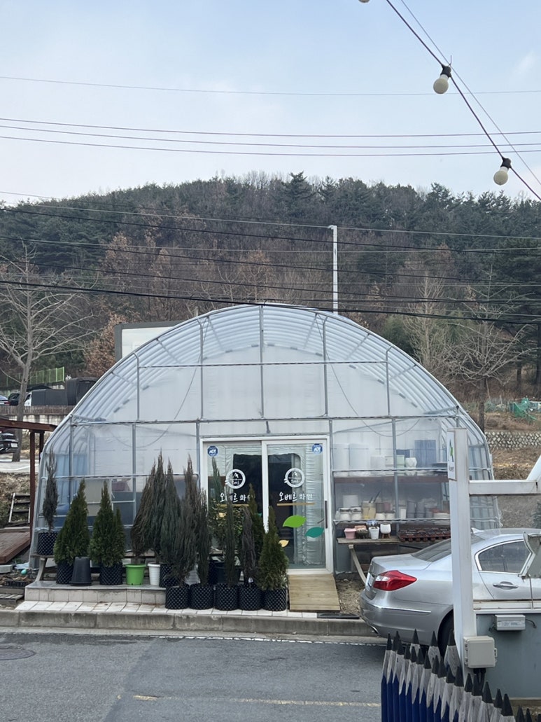 오베르화원 이미지
