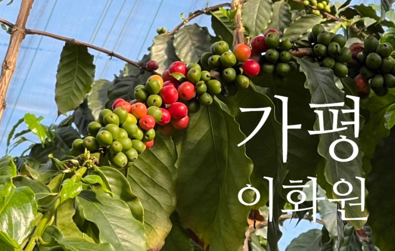 가야식물원 이미지