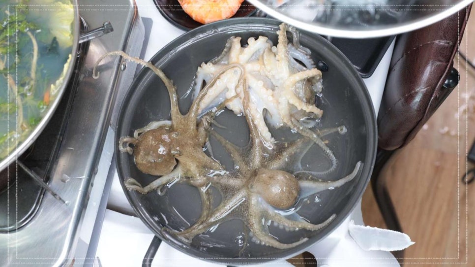 전망대수산 이미지