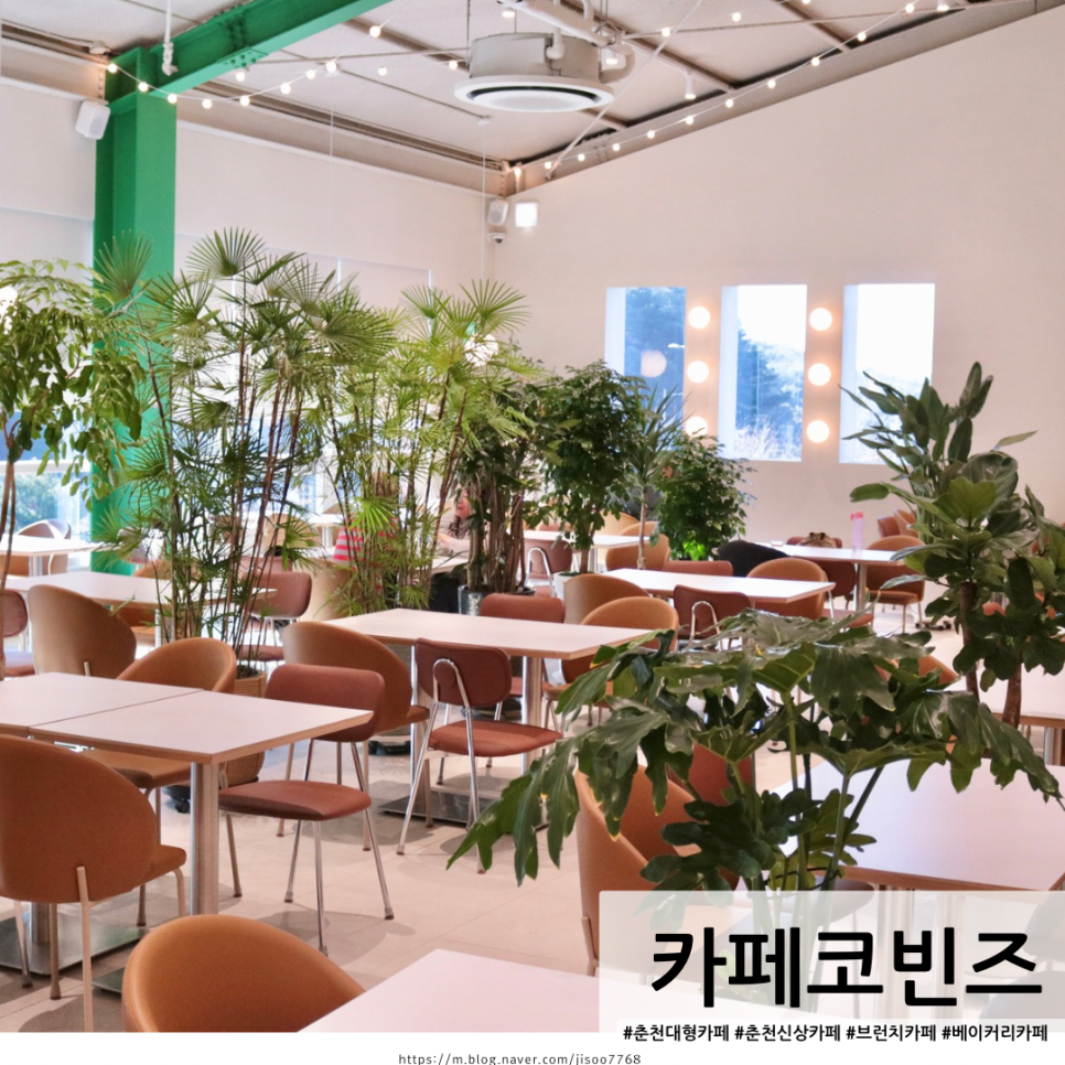 카페코빈즈 이미지