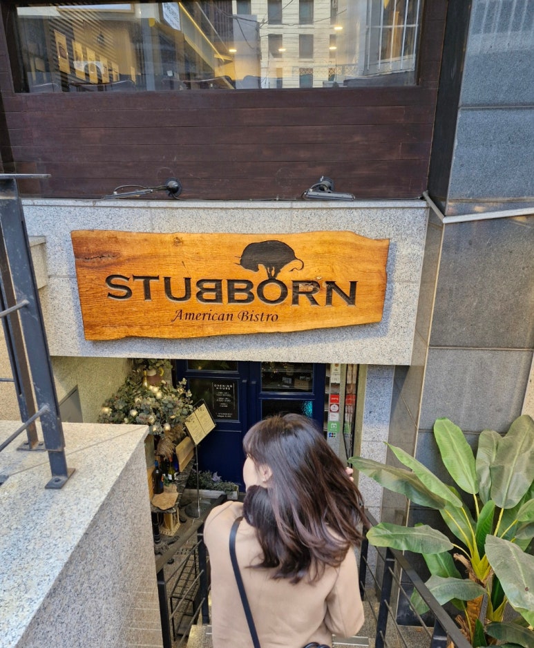 스터번(STUBBORN) 이미지