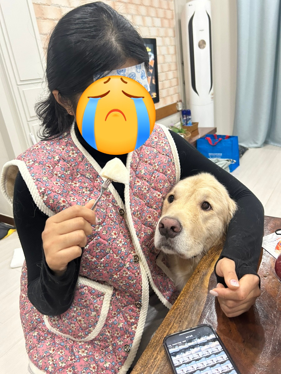 말괄량이케키 이미지