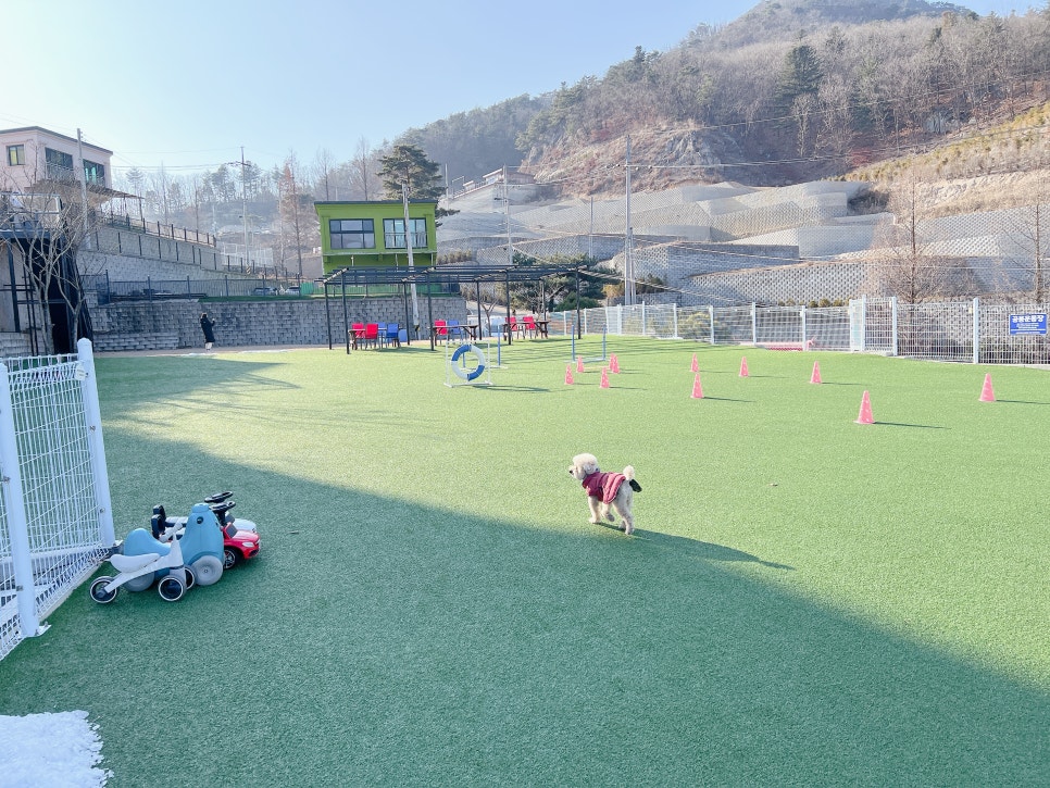 가평 독채 애견펜션 넓은 운동장 후기 — 사진 3