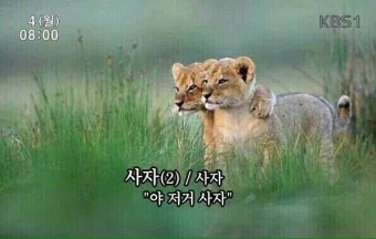 감일점 이미지