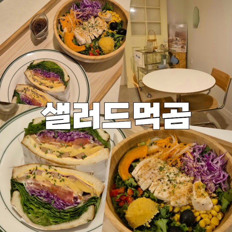 샐러드먹곰 이미지