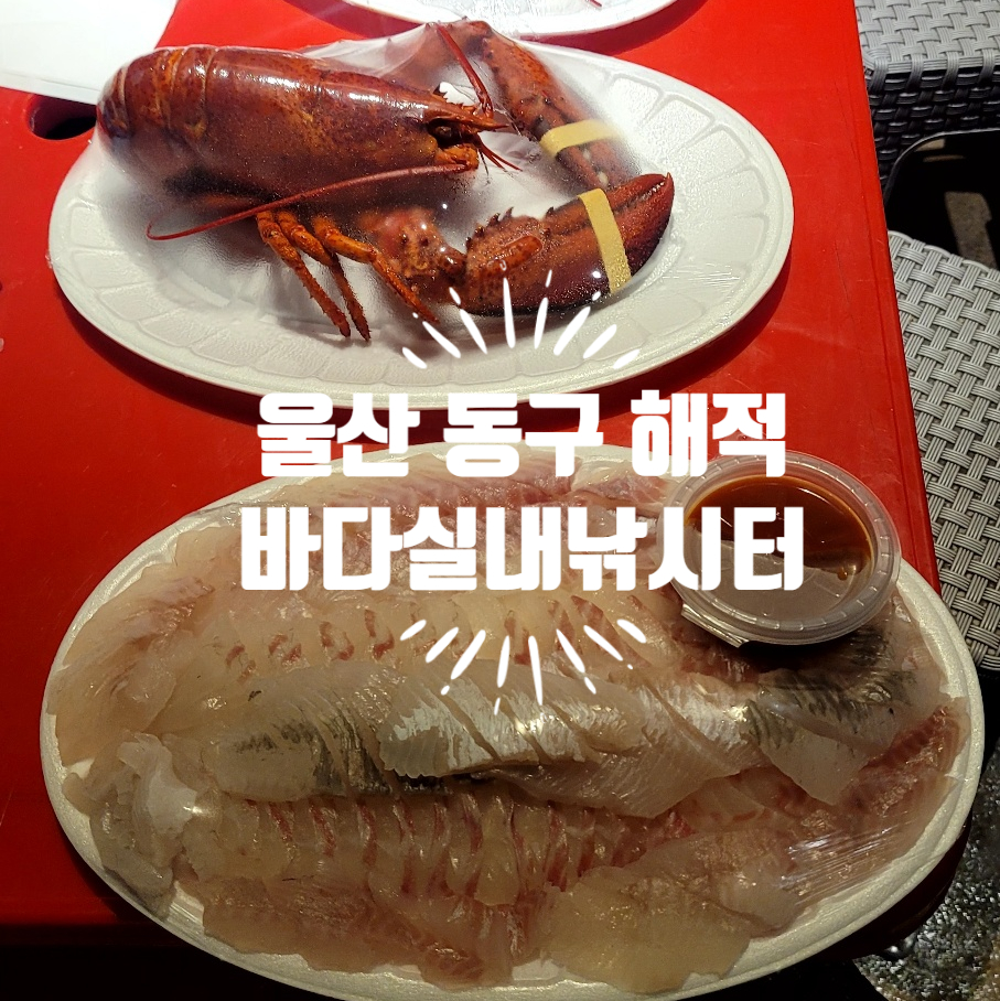 해적바다실내낚시터 이미지