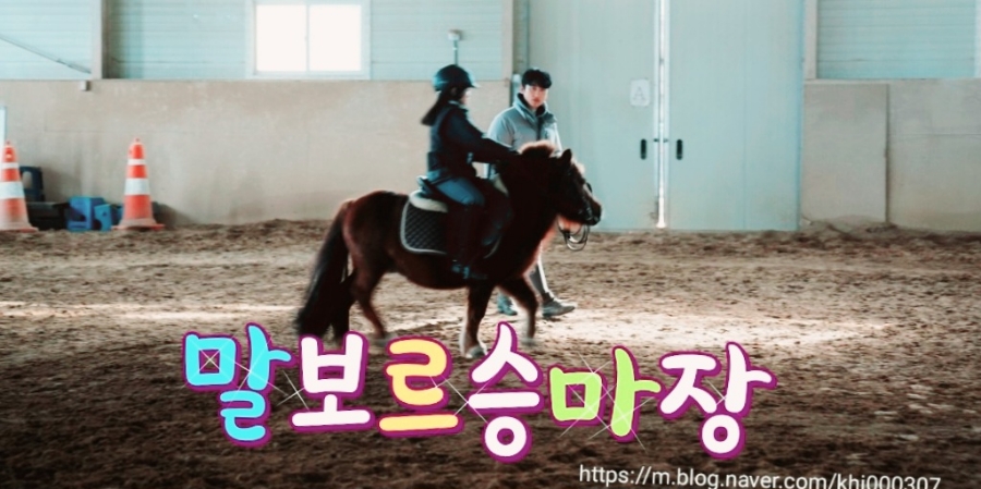말보르승마장 이미지