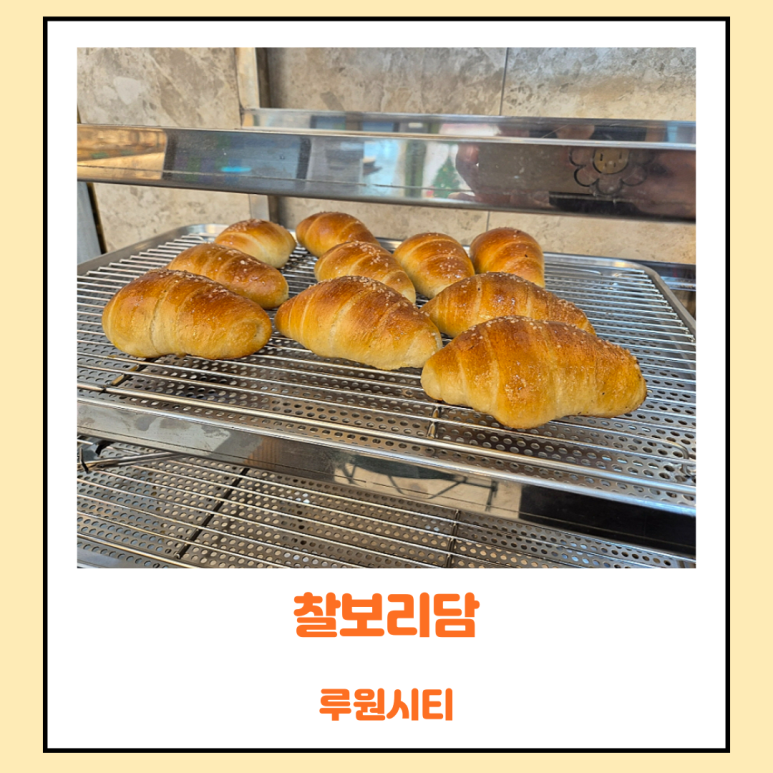 찰보리담 이미지