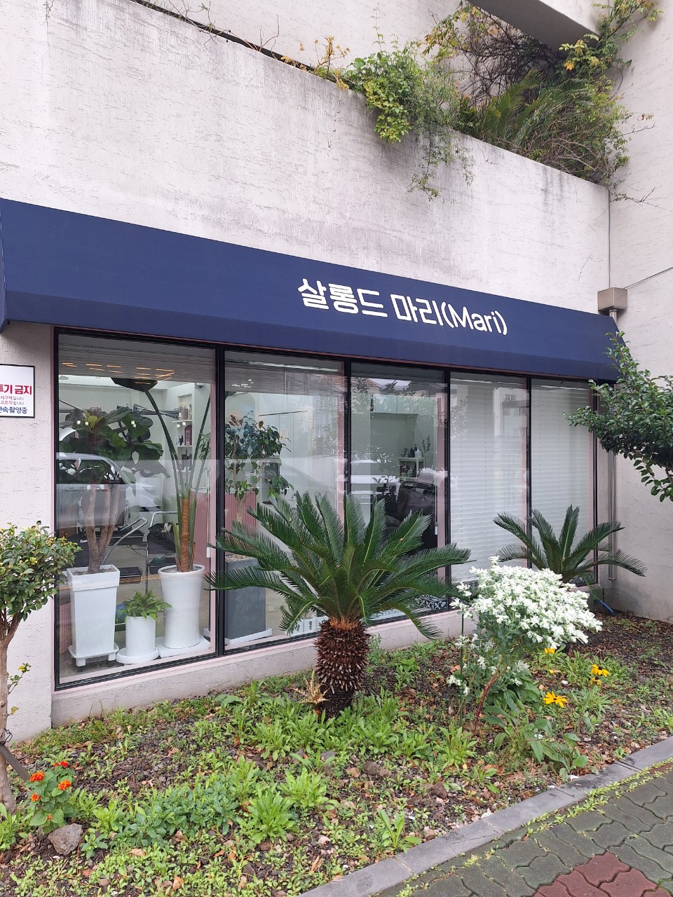 살롱드마리 이미지