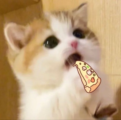 멜크 이미지