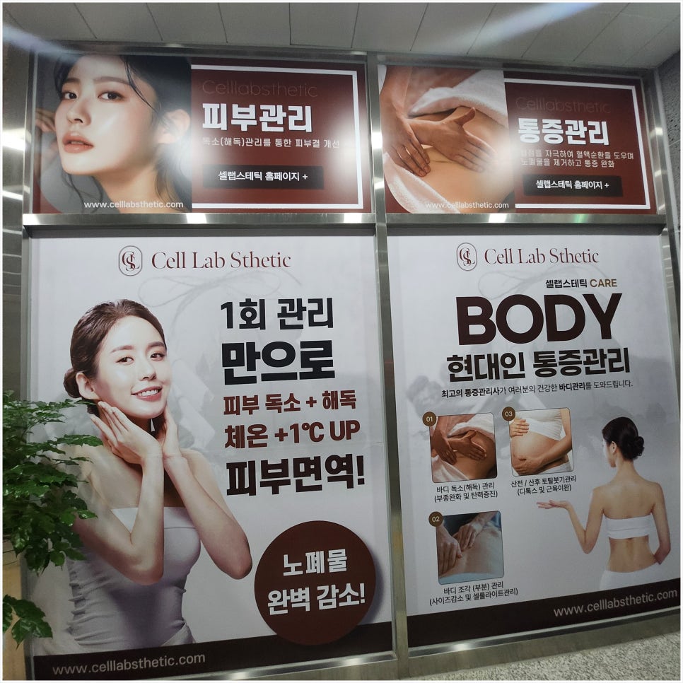 셀시티 이미지