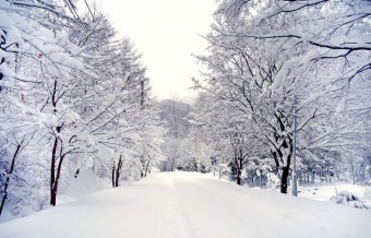 백프로 이미지