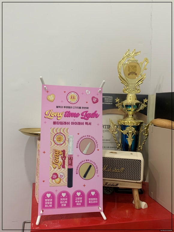 래쉬빈 이미지