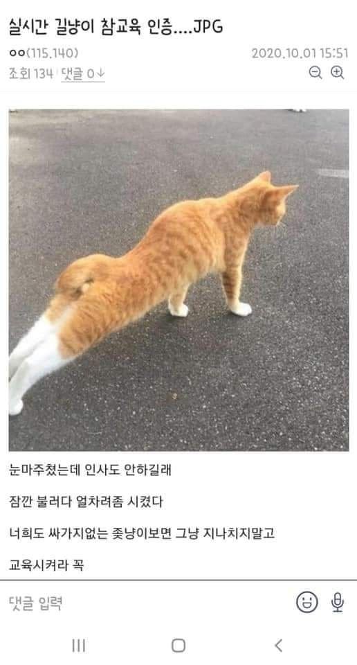 참교육 이미지