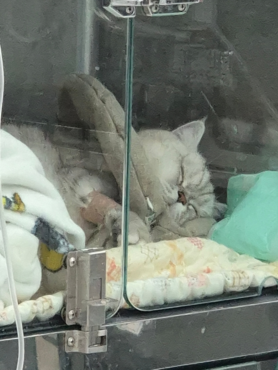 고려메디칼 이미지