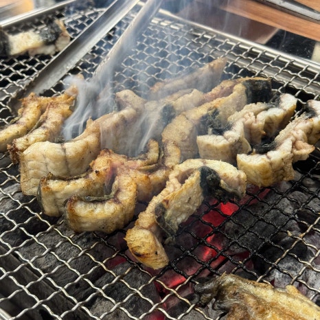 단관민물장어 이미지