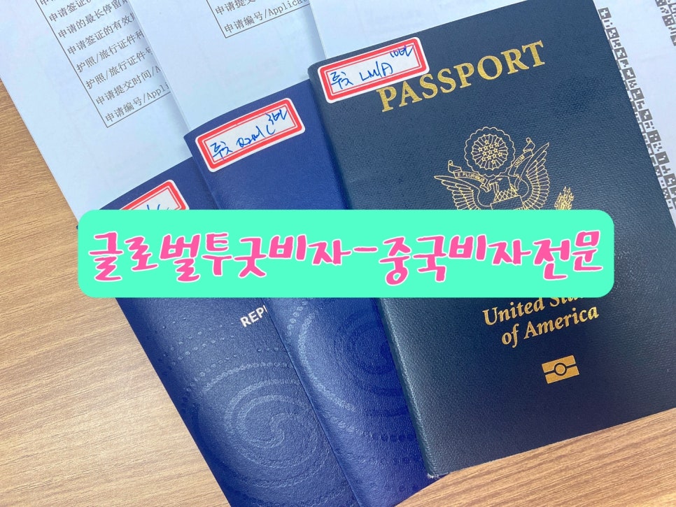 글로벌투굿비자 이미지