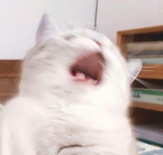 과일이오네 이미지