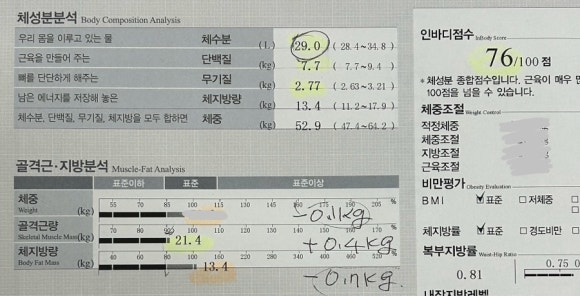 셀포랩스타 이미지