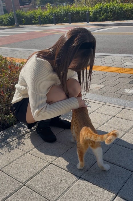 도솔만두 이미지