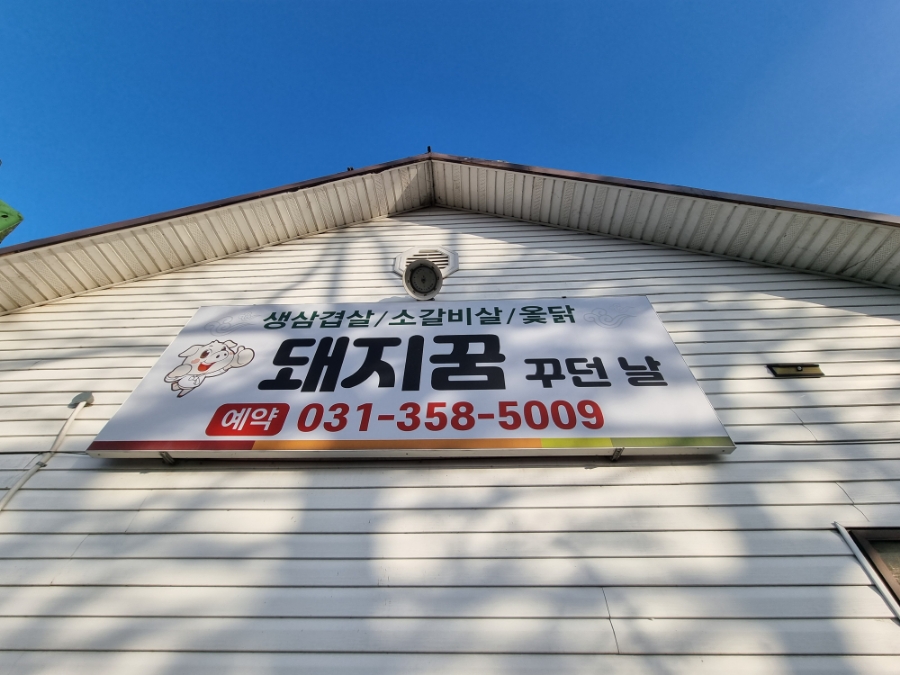 돼지꿈꾸던날 이미지