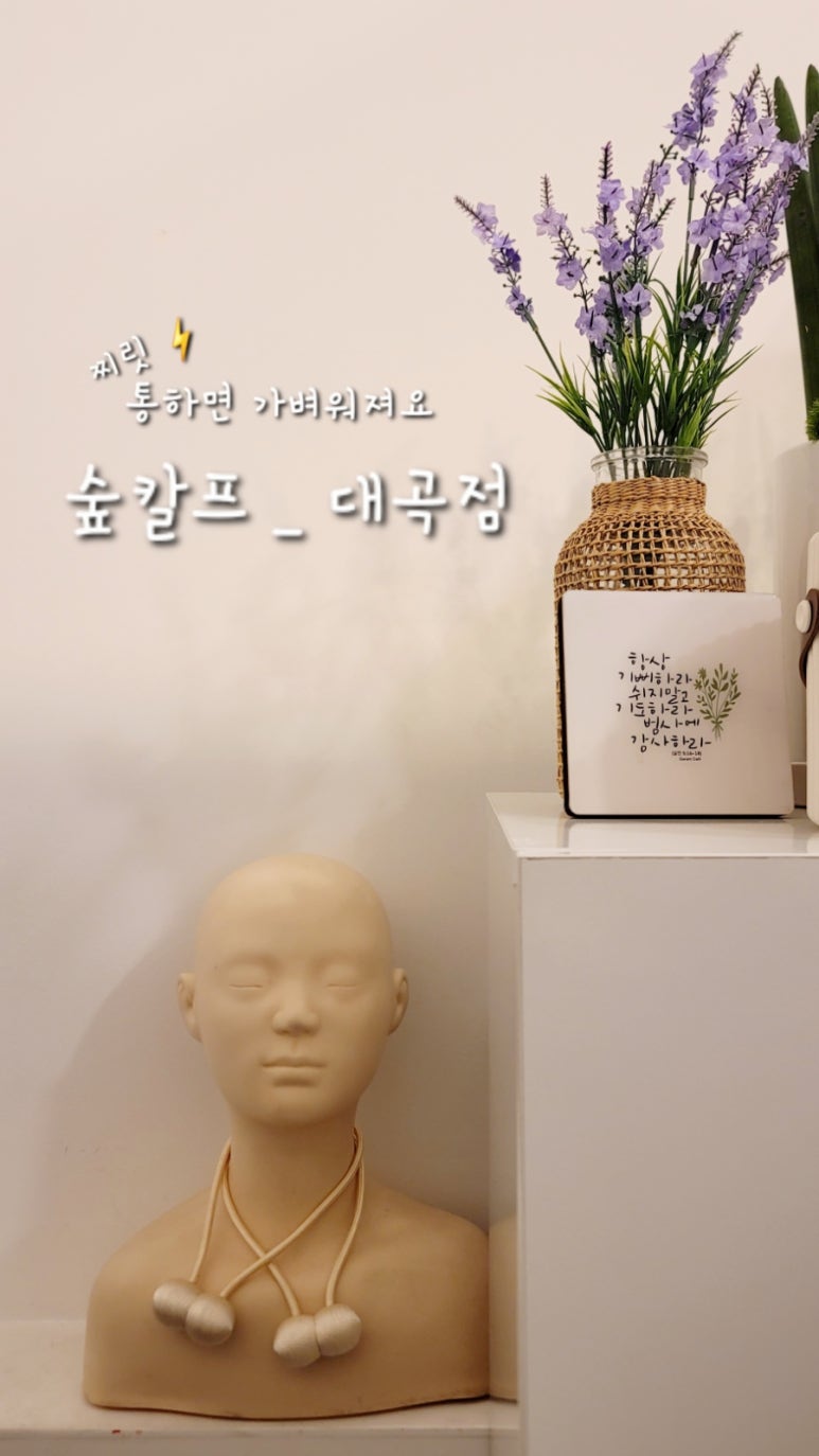 페이버헤어 이미지