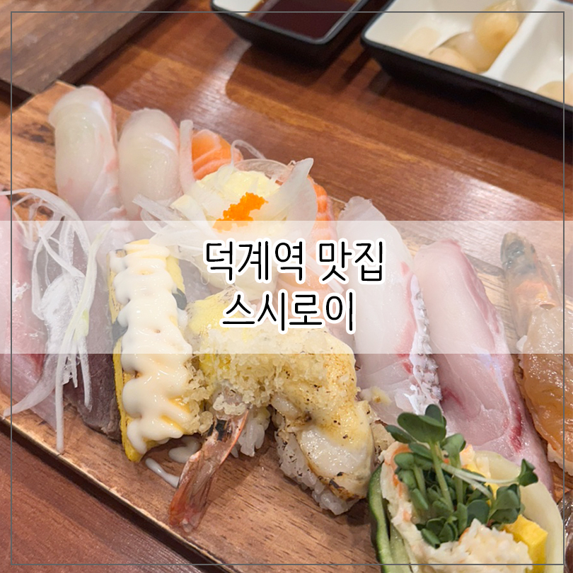 스시로이 이미지