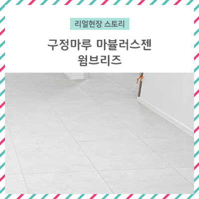 브리즈스토리 이미지