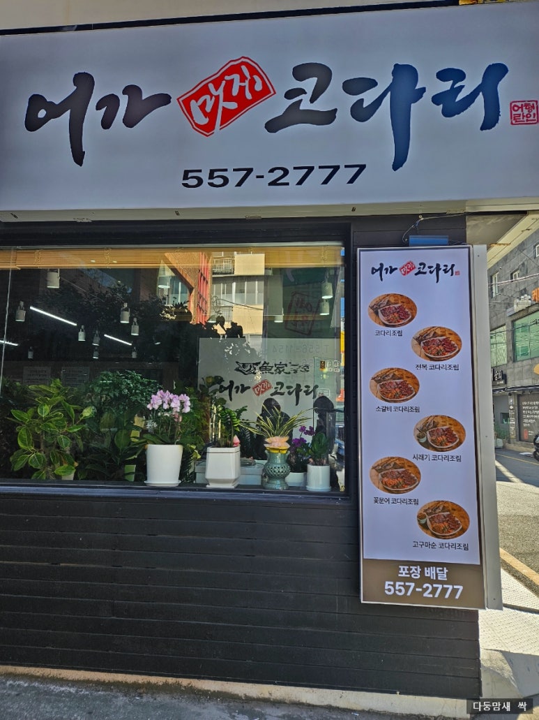 어가코다리 이미지
