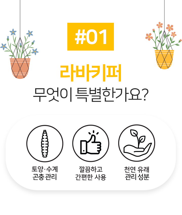 주식회사흙뿌리 이미지