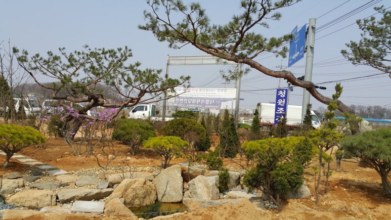 청원조경관리 이미지