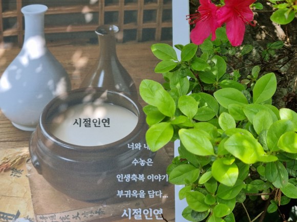 헬스라이프스토리 이미지