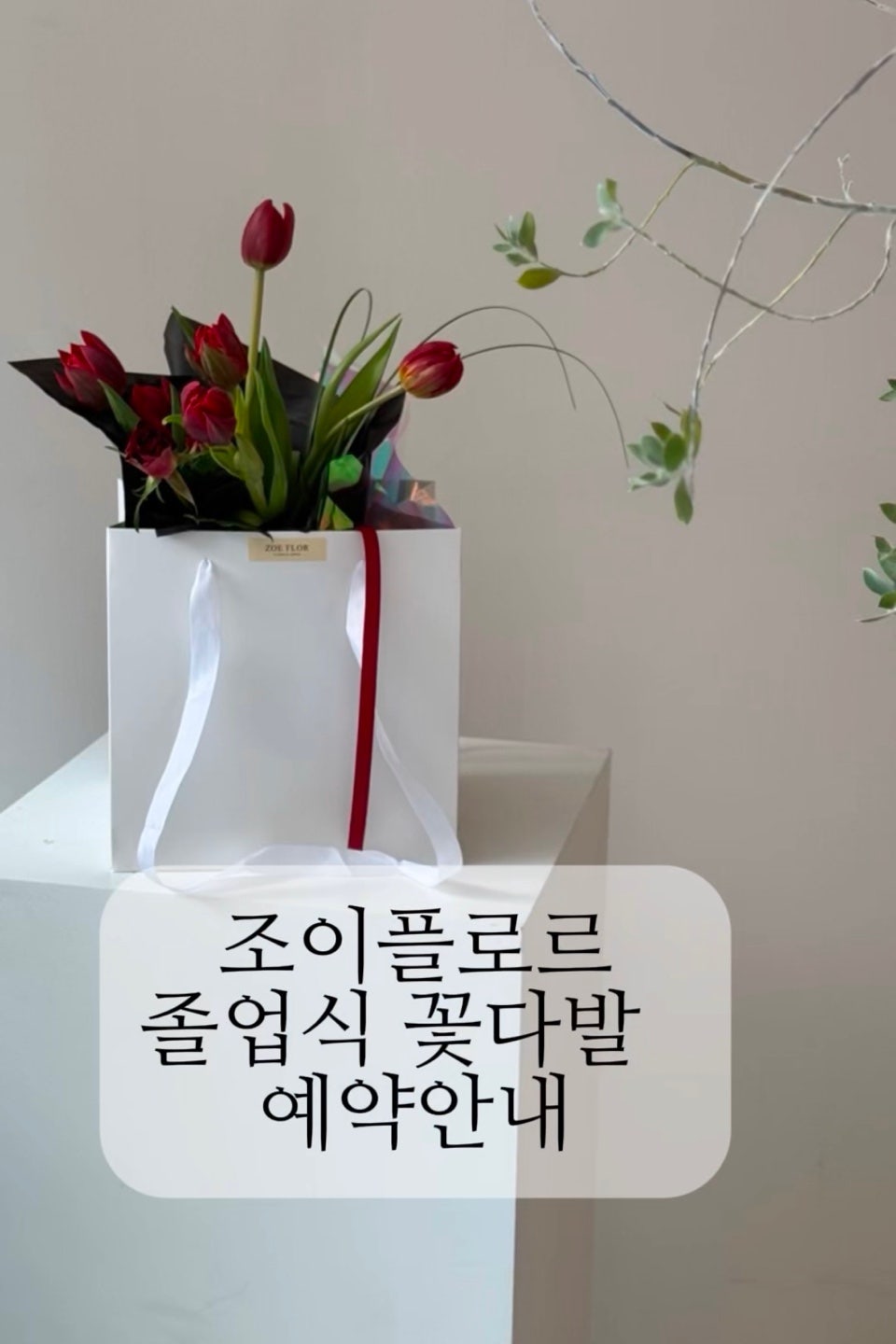 조이플로르 이미지