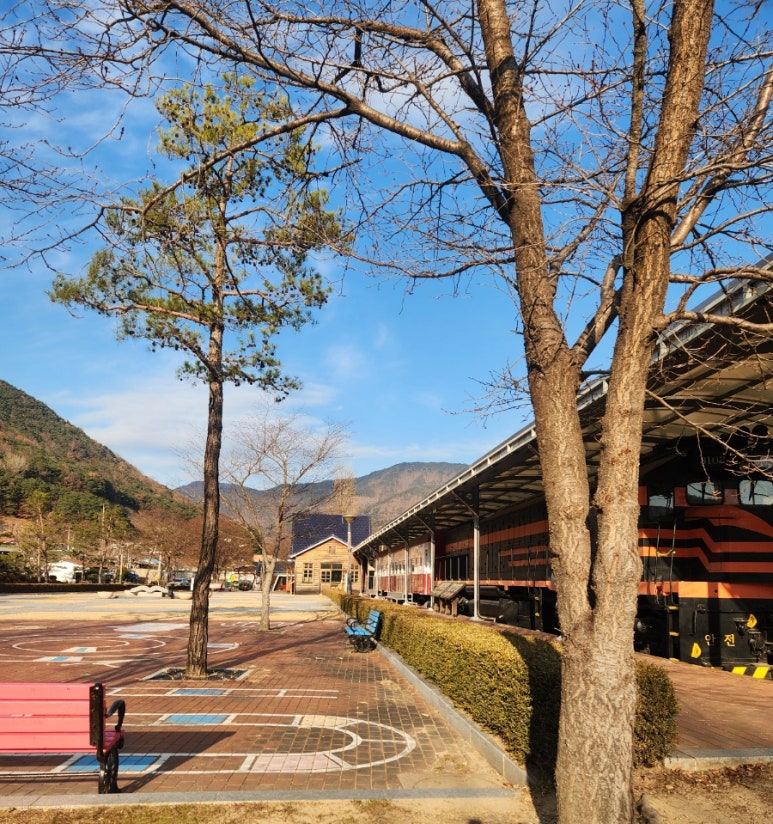 새곳처럼 이미지