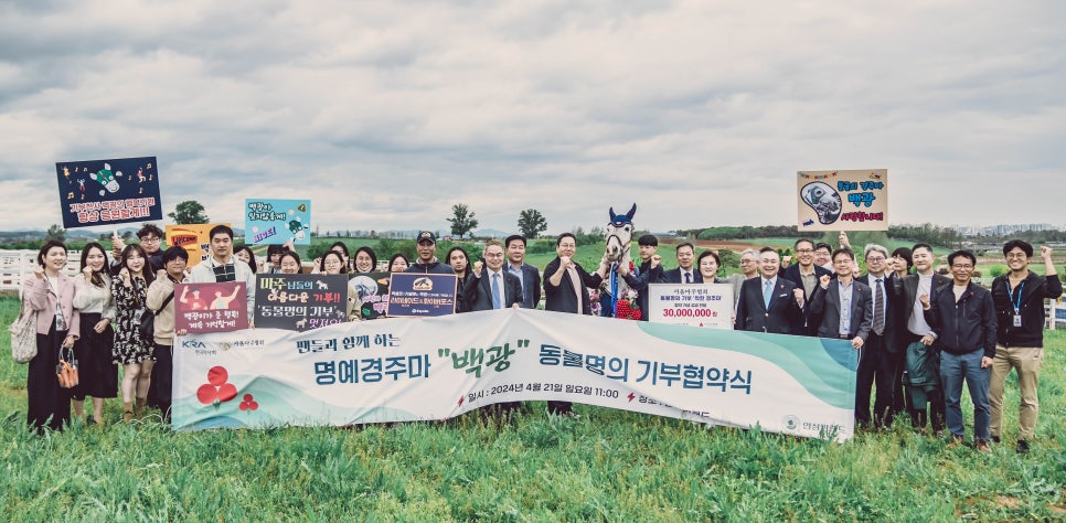 원더풀석세스 이미지