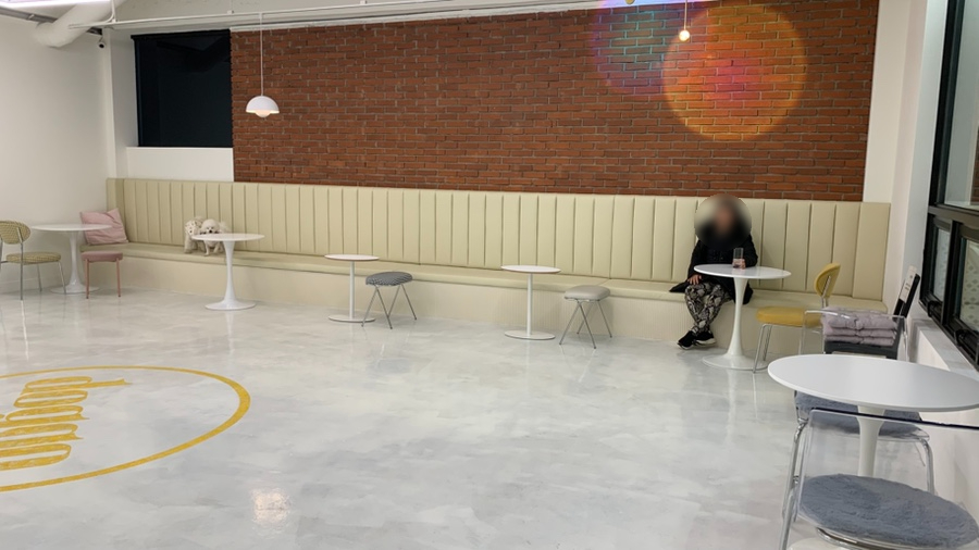 노원 애견동반 브런치카페 도고, 파스타 맛집 후기 — 사진 8