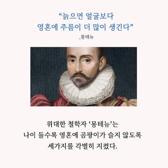 더품격 이미지