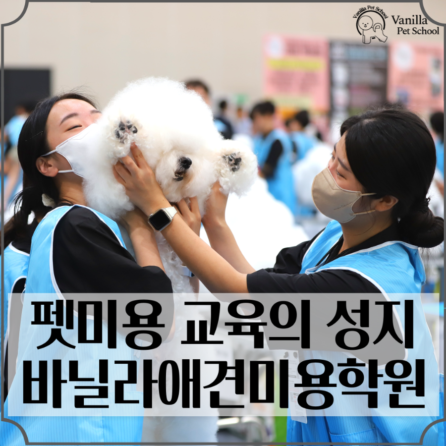 바닐라애견미용학원 이미지