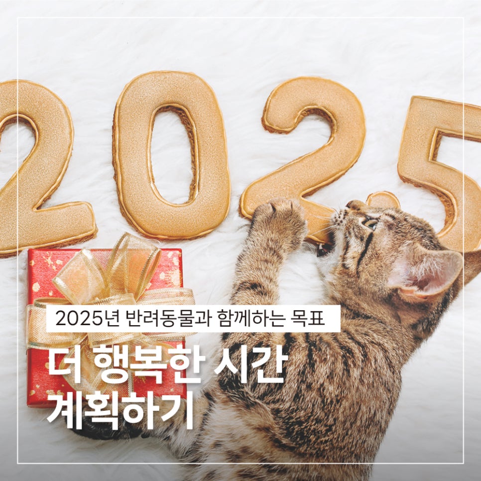 뮨2025 이미지